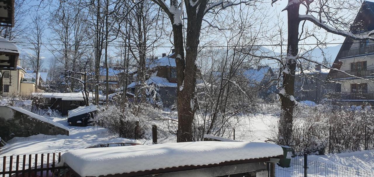 Vip Apartamenty Tytus Zakopane Esterno foto
